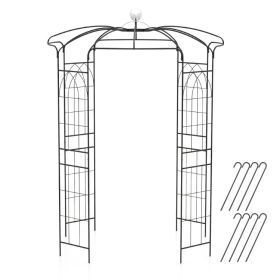 Birdcage Shape Gazebo for Climbing Plants and Wedding Ceremony Decoration